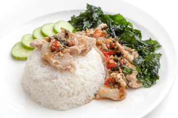 Rice with pork fried with sweet basil and chili sauce on white plate