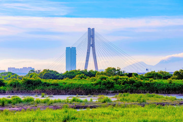 Bridge with river grassland area