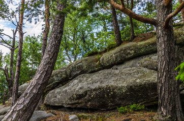 Carpathian mountains landscape in Ukraine in the summer season in Yaremche