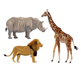 Obraz na płótnie Canvas white background with set realistic colorful wild african animals