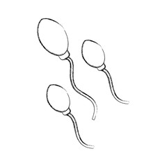 Fertilization by the spermatozoon vector illustration design