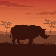 color sunset scene african landscape with silhouette rhino standing
