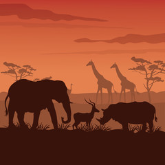Fototapeta na wymiar color sunset scene african landscape with silhouette wild animals
