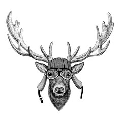 Deer Wild animal wearing biker motorcycle aviator fly club helmet Illustration for tattoo, emblem, badge, logo, patch