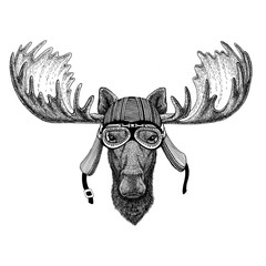 Moose, elk Wild animal wearing biker motorcycle aviator fly club helmet Illustration for tattoo, emblem, badge, logo, patch - obrazy, fototapety, plakaty