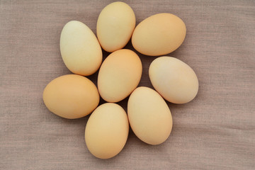 Egg laying On brown sack background.