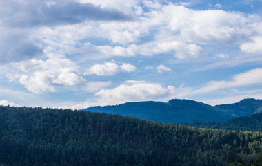 Carpathian mountains landscape in Ukraine in the summer season in Yaremche