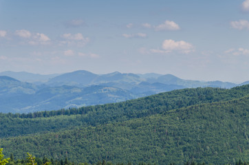 Obraz premium Carpathian mountains landscape in Ukraine in the summer season in Yaremche