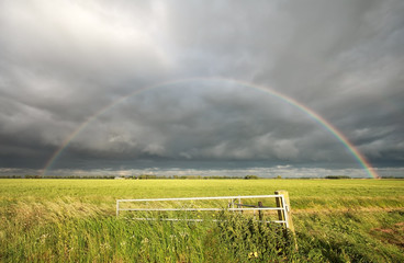 big rainbow over green meadow
