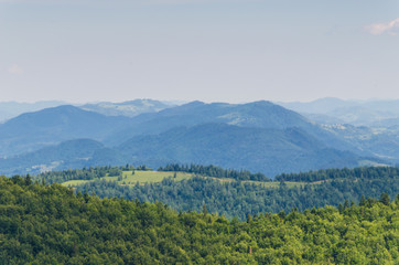 Obraz premium Carpathian mountains landscape in Ukraine in the summer season in Yaremche
