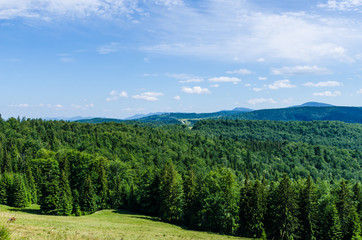 Carpathian mountains landscape in Ukraine in the summer season in Yaremche