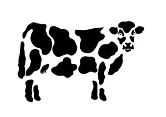 vache