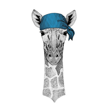 Camelopard, giraffe Wild animal wearing bandana or kerchief or bandanna Image for Pirate Seaman Sailor Biker Motorcycle