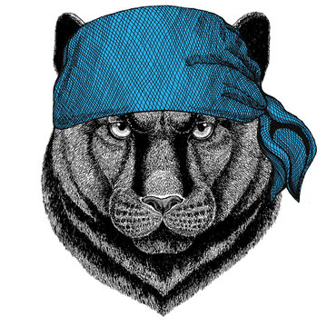 Panther Puma Cougar Wild cat Wild animal wearing bandana or kerchief or bandanna Image for Pirate Seaman Sailor Biker Motorcycle