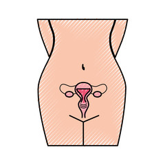 Female reproductive organ icon vector illustration design