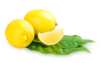 Lemon fruits with leave