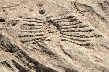 Ancient petroglyph depicting fish or boat with oars on a rock outcrop in Jebel Jassassiyeh in Northern Qatar.