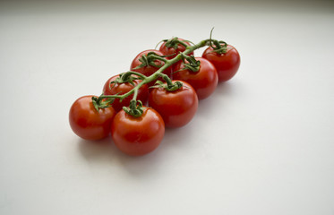 A branch of a tomato
