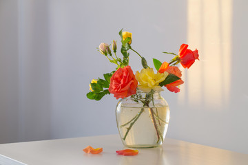 roses in glass vase on white background