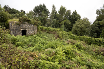 Fototapeta na wymiar Abandoned stone house in Lord John Hay fort (Guipuzcoa, Basque country, Spain).