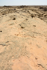 Rock outcrop with ancient dot carvings in Jebel Jassassiyeh in Northern Qatar.