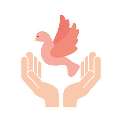 hands human with cute dove flying icon vector illustration design