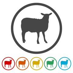 Sheep icons set. Farm animal vector illustration 