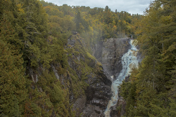 Canada Forest /waterfall