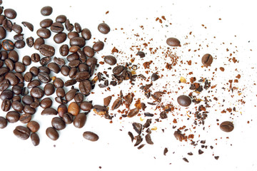 Seed of coffee on white background