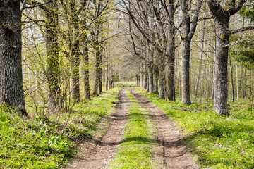 country road