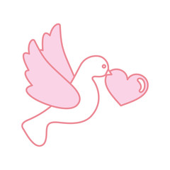 heart with cute dove flying icon vector illustration design