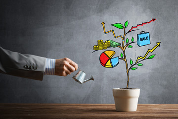 Drawn income tree in white pot for business investment savings and making money