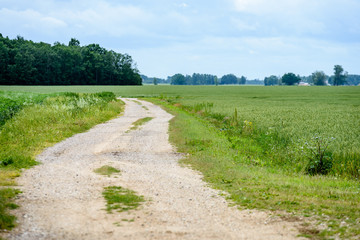 Obraz premium gravel road in summer countryside