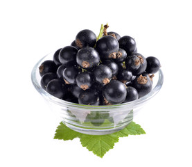 Black currant with green leaf isolated on white background.