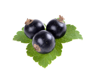 Black currant with green leaf isolated on white background.