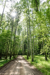 gravel road in summer countryside