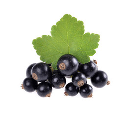 Black currant with green leaf isolated on white background.