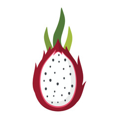 Dragon fruit pittaya design juicy fresh fruit icon vector template. Raw Dragon fruit. Eco bio health food