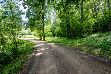 Fototapeta premium gravel road in summer countryside