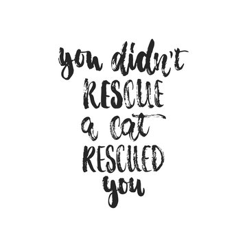 You didn't rescue a cat rescued you - hand drawn dancing lettering quote isolated on the white background. Fun brush ink inscription for photo overlays, greeting card or t-shirt print, poster design.