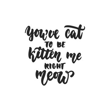 You've cat to be kitten me right meow - hand drawn dancing lettering quote isolated on the white background. Fun brush ink inscription for photo overlays, greeting card or print, poster design.
