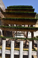 fontaine de vaucluse