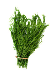 Climbing Wattle, Acacia, Cha-om on white background