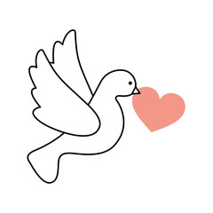 heart with cute dove flying icon vector illustration design