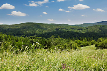 Fototapeta na wymiar Spring summer carpathian landscape with green village field