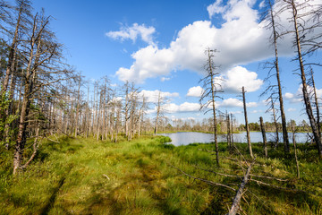 Naklejka premium White clouds on the blue sky over forest lake