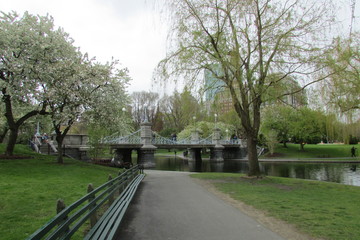 Fototapeta na wymiar Boston Public Garden Bridge, Boston, Massachusetts, USA