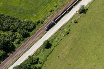 aerial view of the cows herd