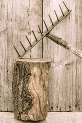 Old rusty rake. Country tools
