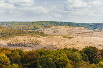 Nature landscape with forest and beautiful sky